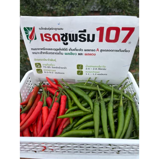 พริกเรดซูพรีม 107 (Syngenta)1ซองได้5000เมล็ด