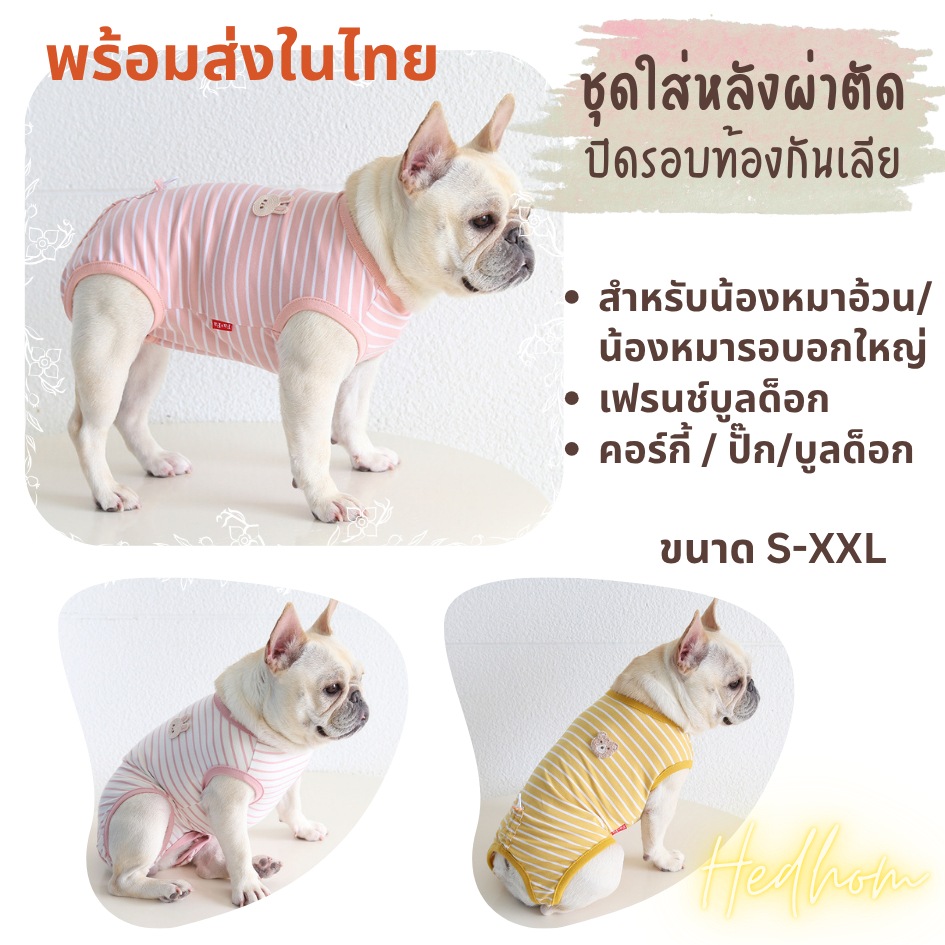 NEW‼️Petstyle ชุดใส่หลังผ้าตัดสำหรับหมาอ้วน ชุดใส่หลังทำหมัน ชุดปิดรอบ กันเลีย สำหรับน้องหมารอบอกใหญ่ น้องเฟรนช์