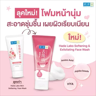 Hada Labo ฮาดะ ลาโบะ โฟมล้างหน้า ขนาด 100 กรัม (มีให้เลือก 4 สูตร)