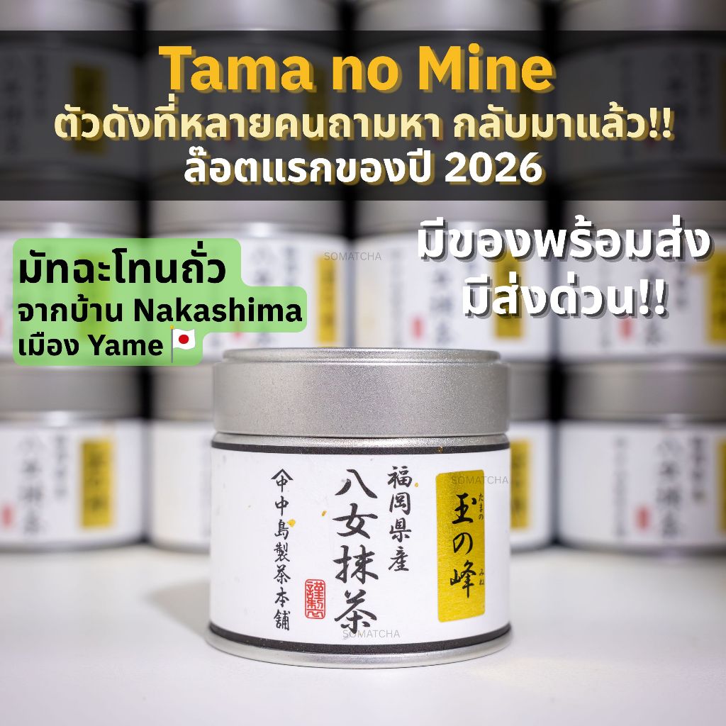 พร้อมส่ง มัทฉะ Tama no Mine ตัวดังจากบ้าน Nakashima Seicha เมือง Yame โทนถั่ว และOtomobe, Okumidori