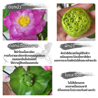 ช่อดอกบัวปลอม ดอกบัวประดิษฐ์ 3 ดอก พร้อมใบและฝักบัว เกรดพรีเมียม สูง 32 ซม. สำหรับไหว้พระ ตกแต่งบ้าน