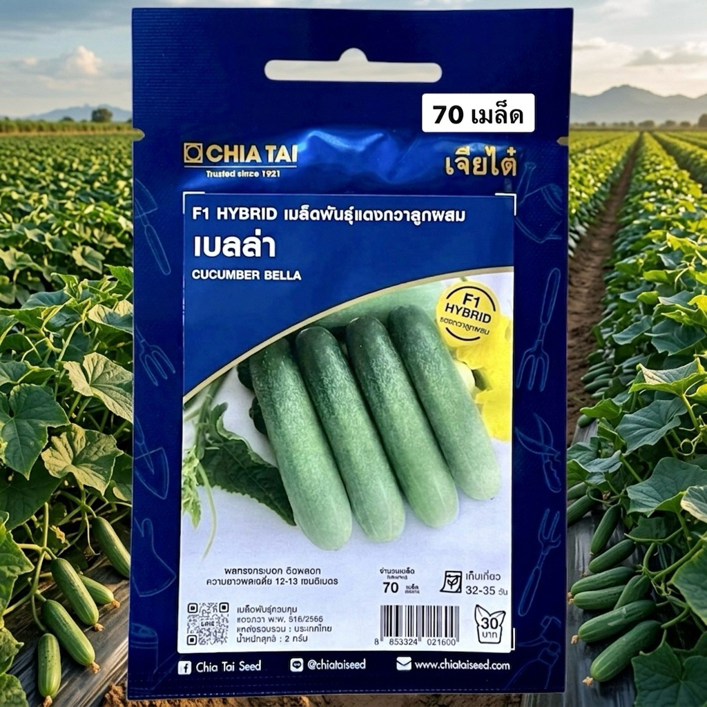 เจียไต๋ แตงกวา เบลล่า CUCUMBER BELLA (70 เมล็ด)
