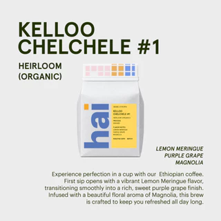 Hai single origin (กาแฟคั่วอ่อน) Kelloo Chelchele #1, Ethiopia (Light roast) Washed Process