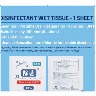 Antibacterial Wet Wipes, 1 Sheet