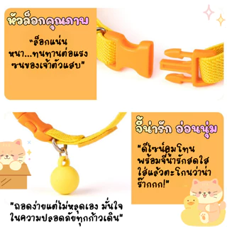 ปลอกคอสัตว์เลี้ยง pet collar แมวและสุนัข นุ่มสบาย ปรับสายได้ แมวและสุนัขพันธุ์เล็ก มีให้เลือกหลากสีพาสเทล