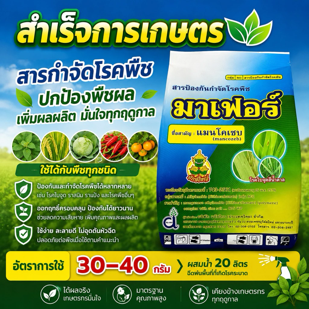 มาเฟอร์ แมนโคเซพ ยักษ์ใหญ่ ขนาด1กิโลกรัม (เขียว)