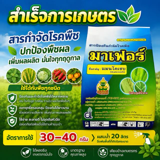 มาเฟอร์ แมนโคเซพ ยักษ์ใหญ่ ขนาด1กิโลกรัม (เขียว)