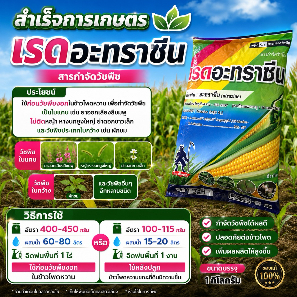 เรดอะทราซีน ชื่อสามัญอะทราซีน ชนิดผง ใช้ควบคุมวัชพืชในข้าวโพดและอ้อย