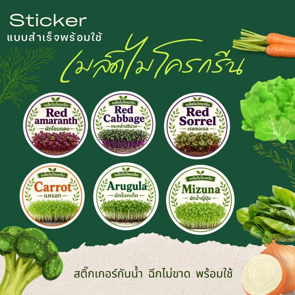 [5 แถม 1] สติ๊กเกอร์ผักไมโครกรีน พรีเมียม พร้อมใช้ สำหรับร้านผักสลัดและฟาร์มสุขภาพ 🌱✨
