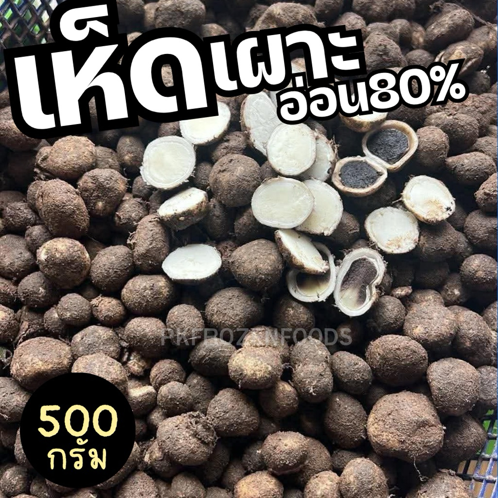 เห็ดเผาะ เห็ดเผาะฝ้าย อ่อน80%(500g.)🍄‍🟫🍄‍🟫ตามฤดูกาล🌧️  ⚡️ส่งด่วน  🔥ค่าส่งแบบเหมา คละได้ทั้งร้าน❗️ 🚚💨ส่งขนส่งแช่เย็น❄️