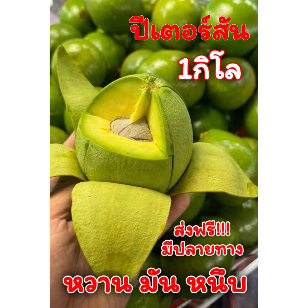 อะโวคาโด ปีเตอร์สัน (Peterson Avocado) 1กิโลกรัม สดใหม่ เนื้อเนียนมัน คัดเกรดพรีเมียม [พร้อมส่ง]