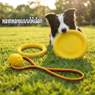 ของเล่นสุนัขออกกำลังกายลอยน้ำได้ ห่วงโยนรับจานบินและลูกบอล ช่วยคลายเครียด เสริมสร้างความสัมพันธ์กับเจ้าของ