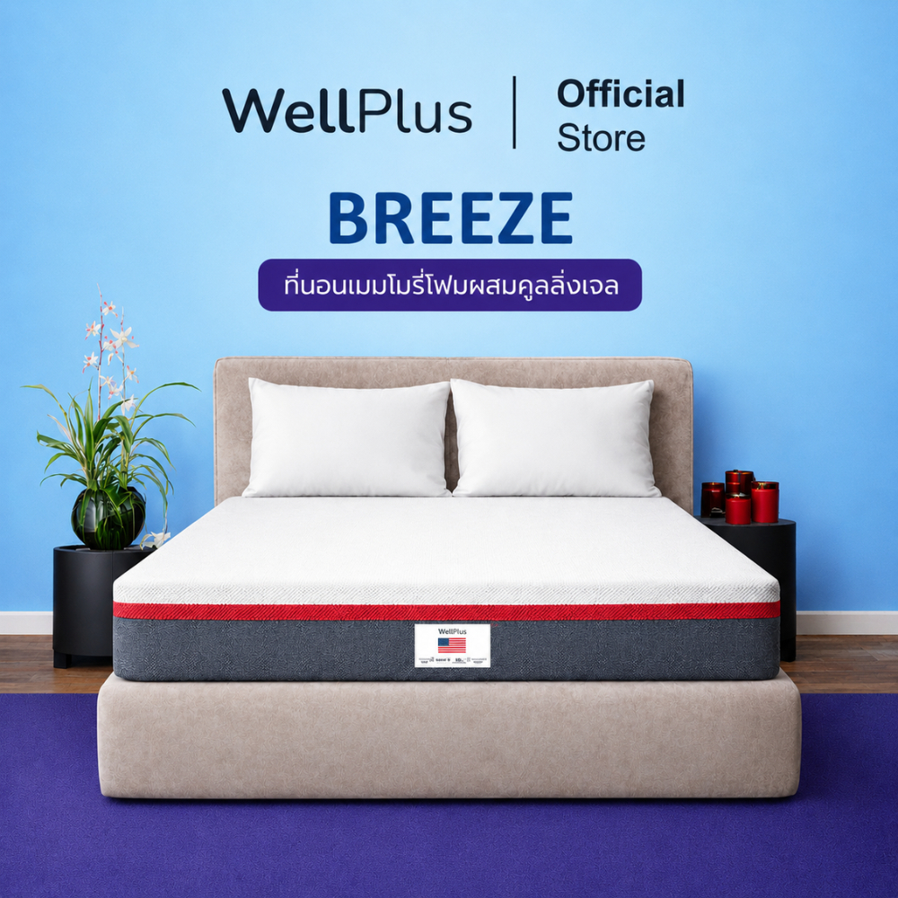 WellPlus ที่นอนเมมโมรี่โฟม ผสมคูลลิ่งเจลไม่กักเก็บความร้อน ช่วยกระจายแรงกดทับ สัมผัสแน่น Memory Foam รุ่น Breeze