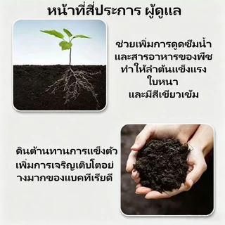 ปุ๋ยอินทรีย์เม็ด ปุ๋ยรองพื้นอินทรีย์เม็ด บำรุงดิน บำรุงราก เร่งการเจริญเติบโต เพิ่มผลผลิต ไม่ทำลายสิ่งแวดล้อม