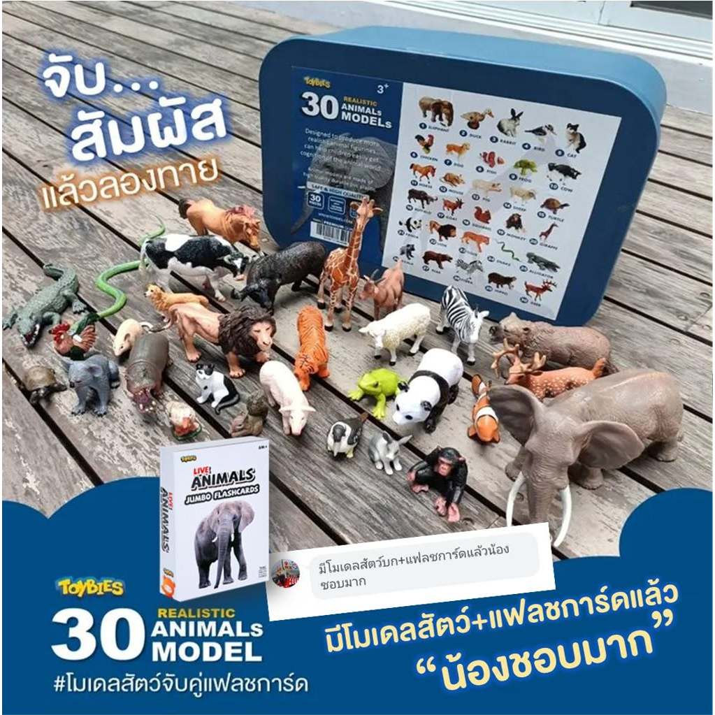 Toybies โมเดลสัตว์คุณภาพ มากถึง 30 ชนิด เสมือนจริง โมเดลจับคู่แฟลชการ์ด เรียนรู้ง่ายได้ผลดียิ่งขึ้น