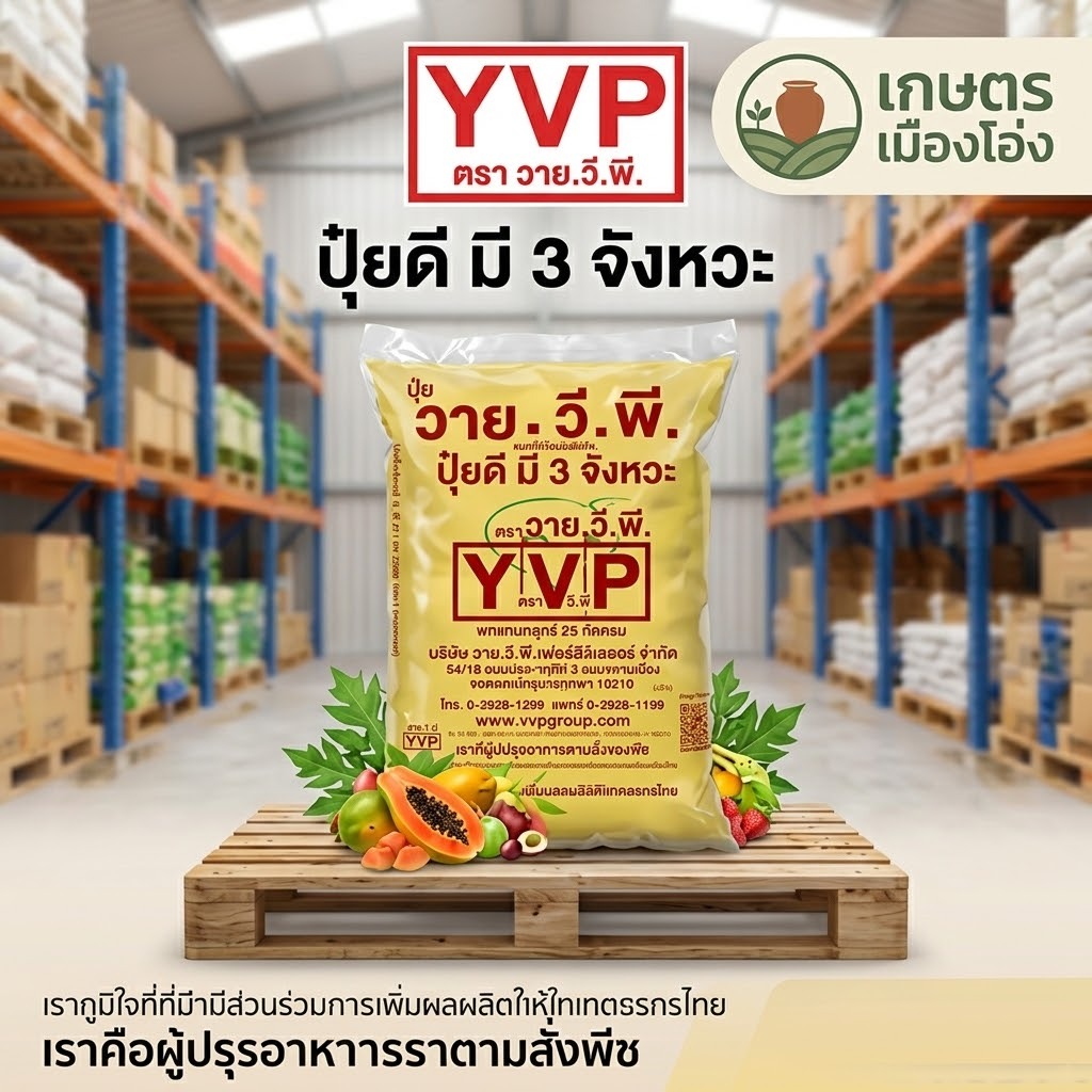 วาย.วี.พี แมกนีเซียมซัลเฟต ยกกระสอบ 25 กิโลกรัม เกร็ดใหญ่ ละลายน้ำได้ดี สูตรเพิ่มความเขียวเข้มให้แก่พืชเขียวนาน