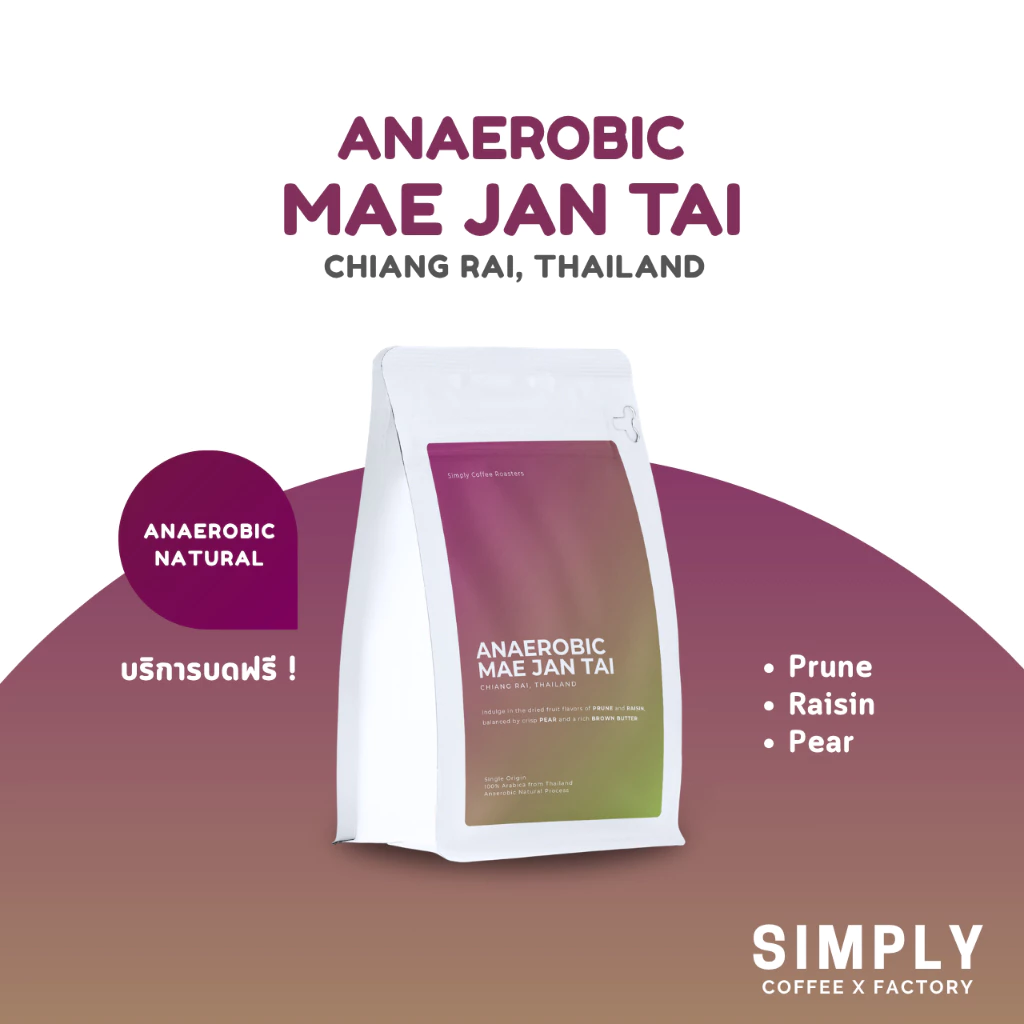 กาแฟแม่จันใต้ Anaerobic Natural Process อาราบิก้า 100% Simply Coffee Roasters