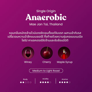เมล็ดกาแฟแม่จันใต้ Anaerobic Natural Process เมล็ดกาแฟคั่วอาราบิก้า มีบริการบด Cherdchai Roastery