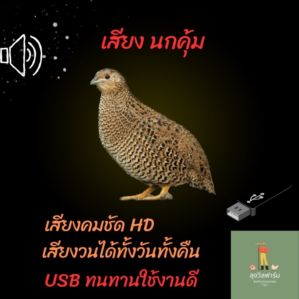 เสียงต่อ นกคุ้ม เสียงวนได้ทั้งวันทั้งคืน ในเเฟรชไดร์ฟ