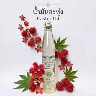 น้ำมันละหุ่ง ออแกนิกส์ น้ำมันละหุ่งสกัดเย็น Organic เพียว 100% Castor Oil cold pressed Organic Hexane Free