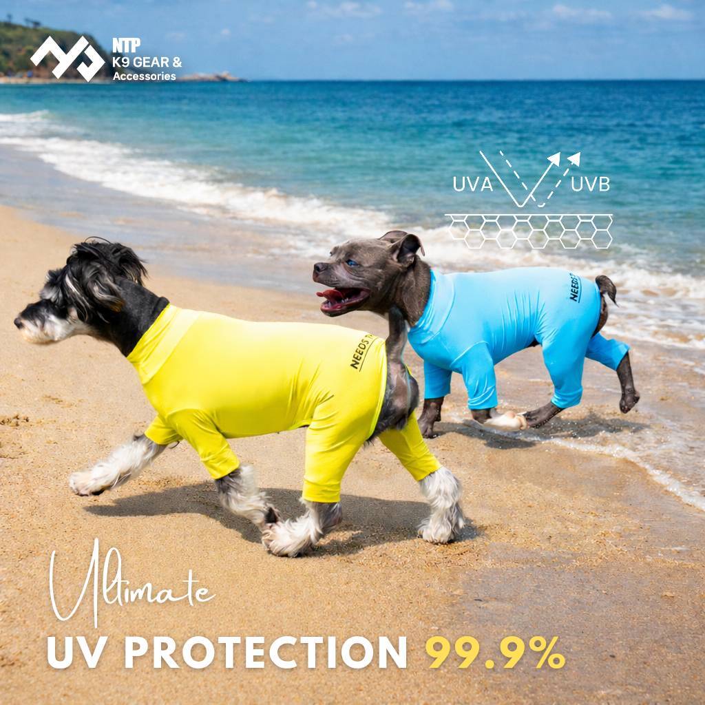NTP เสื้อกิจกรรมสุนัข Inner wear All-in-One