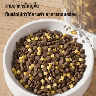 Smart Pet Feeder 6LCamera WiFi + APP แมวที่ ให้อาหารแมวอัตโนมัติ ที่ ให้ อาหาร สัตว์ อัตโนมัติ ที่ให้อาหารสัตว์อัตโนมัติ