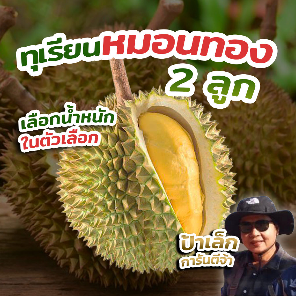 ทุเรียนหมอนทอง 2ลูก (1 ตะกร้า ได้ 2ลูก)  กดตะกร้าแล้วเลือกน้ำหนักได้เลยจ้า