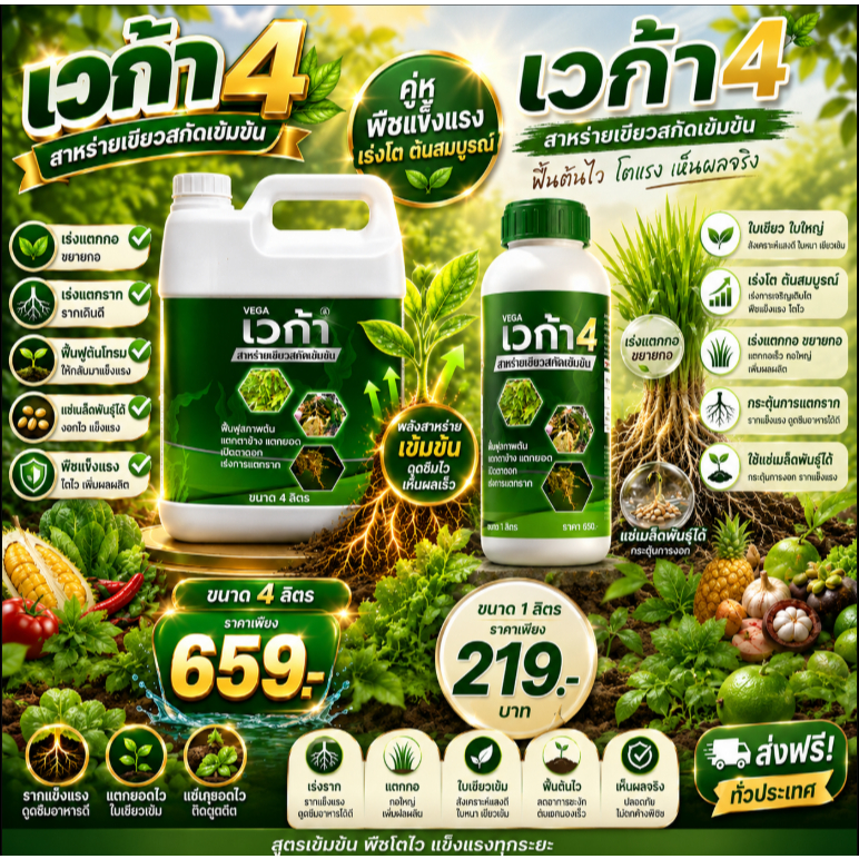 เวก้า4 เวก้าสาหร่ายเขียว ใบเขียวใหญ่ เร่งโต ต้นสมบูรณ์ เร่งแตกกอ ขยายกอ แช่เมล็ดพันธุ์ ขนาด1ลิตร