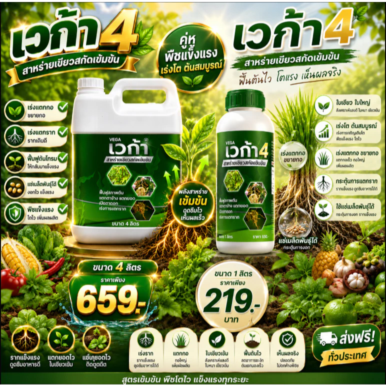 เวก้า4 เวก้าสาหร่ายเขียว ใบเขียวใหญ่ เร่งโต ต้นสมบูรณ์ เร่งแตกกอ ขยายกอ แช่เมล็ดพันธุ์ ขนาด1ลิตร และ4ลิตร