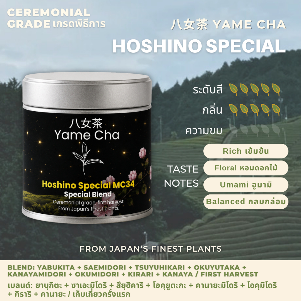 MC34 Matcha Hoshino Special [Ceremonial Grade] ผงมัทฉะญี่ปุ่น เกรดพิธีการ 20 / 30 / 100g