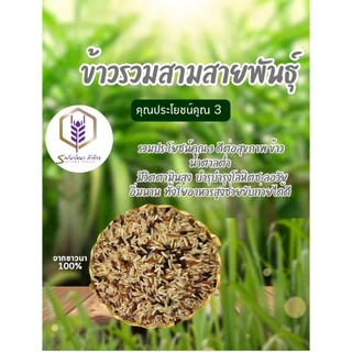 ข้าวรวมสามสายพันธุ์ ตราทรัพย์ธนา แพคสุญญากาศ6กิโลกรัม