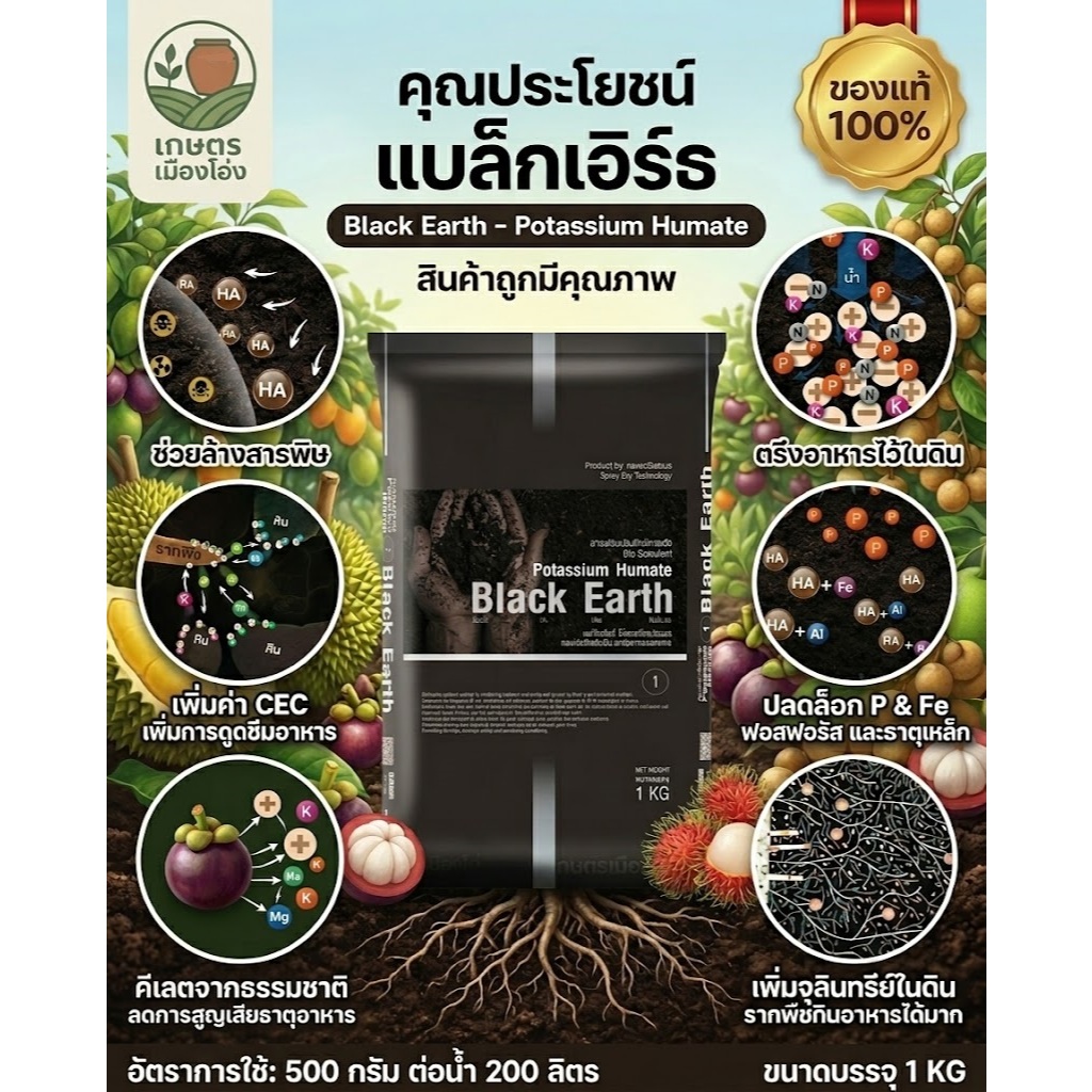 แบล็กเอิร์ธ Black Earth ฮิวมิกผง พรีเมียมฮิวมิก แบบสเปรย์ดรายละลายน้ำได้ง่าย แบ่งขาย1กิโล