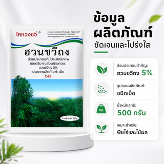ยาฆ่าไผ่ ยาฆ่าหญ่ 500g ไม่ทำลายดิน รวดเร็ว ทนนาน ผงกำจัดต้นไม้ ผงกำจัดกอไผ่ ยาฆ่าตอ ไม้ ยาฆ่าไม่ไผ่ ยาฆ่าตอต้นไม้