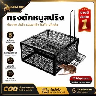 MUSCLE COW กรงดักหนูสปริงเหล็กเคลือบสีดำ กลไกล็อกอัตโนมัติ กรอบหนา ใช้ดักหนูในบ้าน โกดัง ร้านค้า โรงงาน