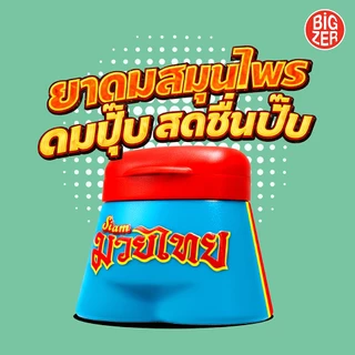 [แพ็ค 12 ชิ้น] ยาดมกางเกงมวยไทย ตรา BiGZER
