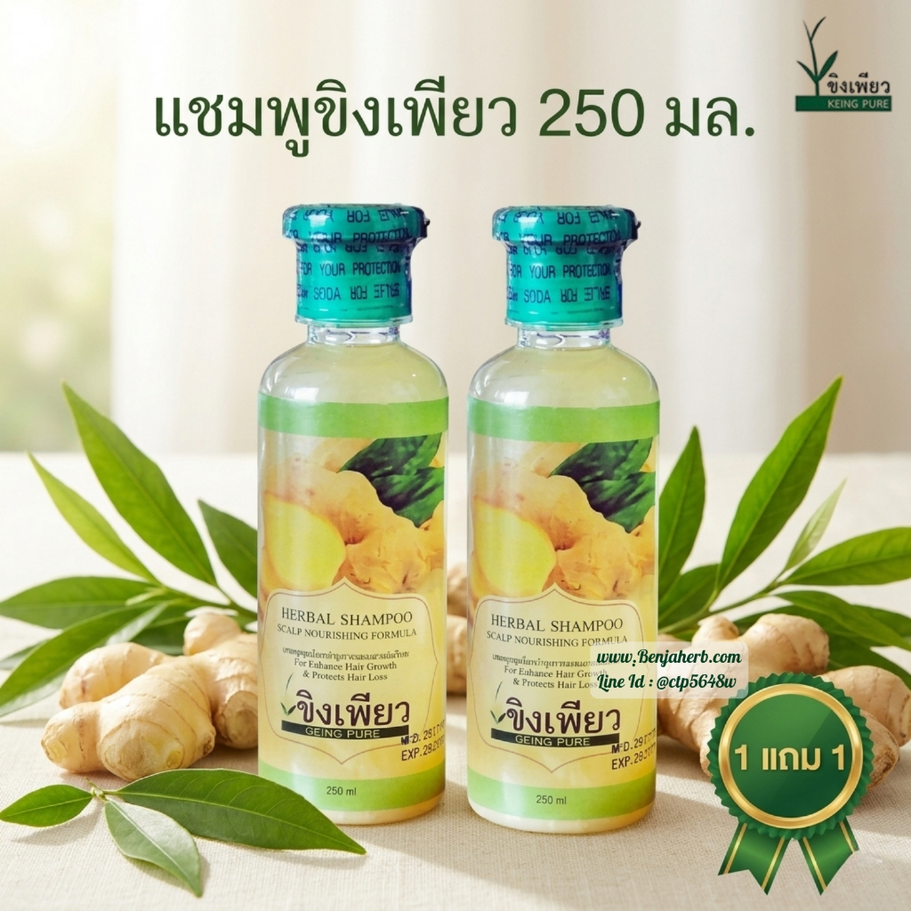 แชมพูขิงเพียว ขวดกลม 250ml. (ซื้อ1 แถม1)