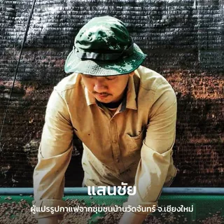 Roots Coffee เมล็ดกาแฟ แสนชัย คั่วกลาง เหมาะสำหรับชงแบบ Espresso, Moka Pot, Drip, French Press, Cold Brew, AeroPress