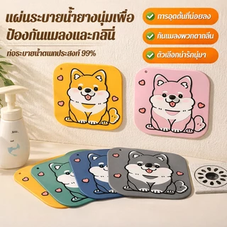 แผ่นปิดท่อระบายน้ำ PVC กันกลิ่นย้อนกลับ กรองเส้นผมสิ่งสกปรก ใช้ได้ห้องน้ำและอ่างครัว