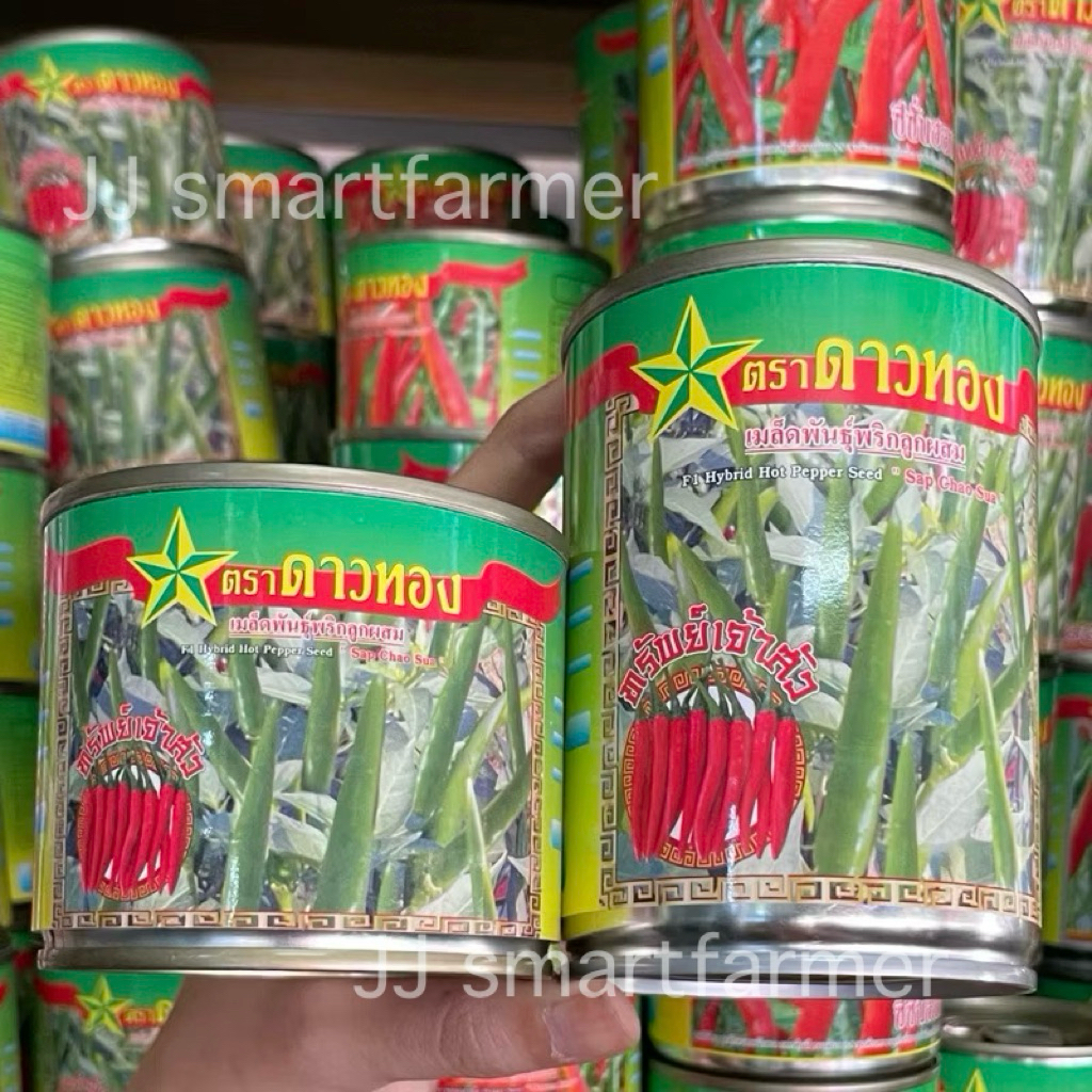ทรัพย์เจ้าสัว 20,50 กรัม เมล็ดพริกลูกผสม ตราดาวทอง