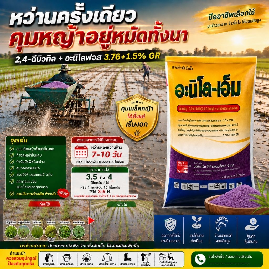 อะนิโล-เอ็ม (15กก.)สารกำจัดวัชพืชชนิดเม็ด สูตร 2,4-ดีบิวทิล + อะนิโลฟอสสำหรับนาหว่านและนาดำ คุมวัชพืชตั้งแต่ระยะเริ่มงอก