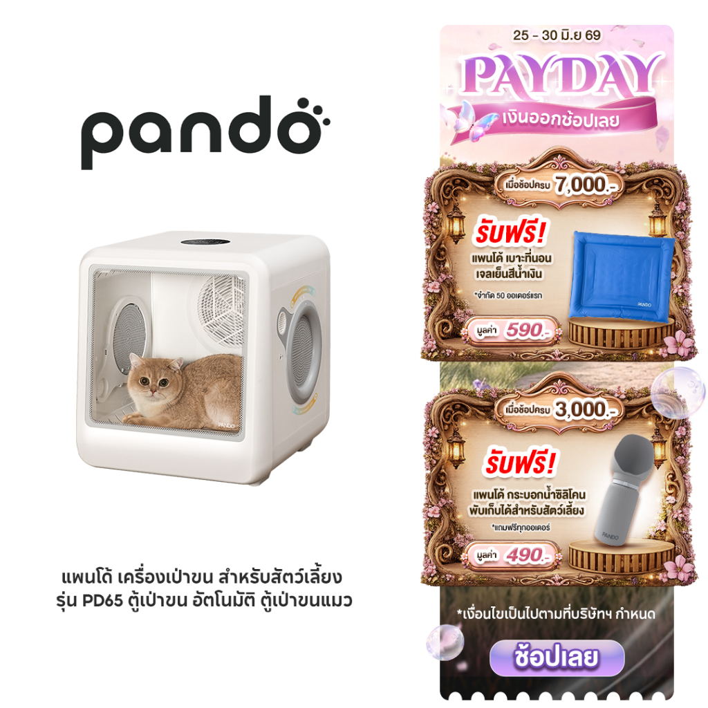 PANDO Pet Dryer Room PD65 แพนโด้ เครื่องเป่าขน สำหรับสัตว์เลี้ยง รุ่น PD65 ตู้เป่าขน อัตโนม