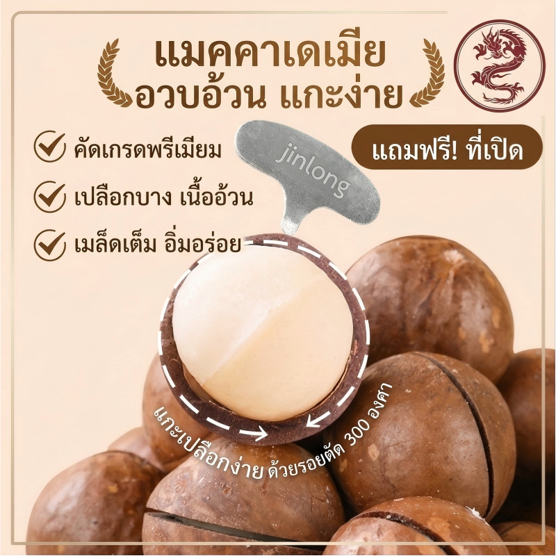 Jinlong ถั่วแมคคาเดเมียคุณภาพสูง 500g เปลือกบาง เมล็ดโต กรอบอร่อย หอมกลิ่นนม ทานคู่กับกาแฟ/ชา ได้เลย พกพาสะดวก
