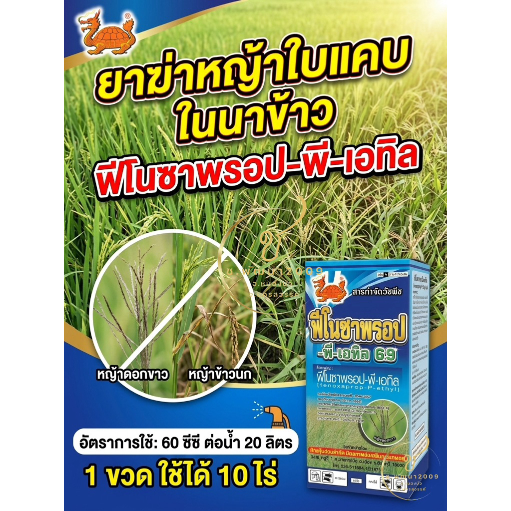 ฟีโนซาพรอป-พี-เอทิล 6.9 เต่ามังกรทอง กำจัดหญ้าใบแคบในนาข้าว🌱