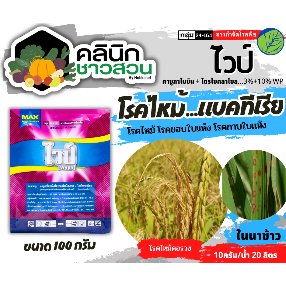ไวป์ (คาซูกาไมซิน+ไตรไซคลาโซล) บรรจุ 100กรัม โรคไหม้ ขอบใบแห้ง กาบใบแห้ง ไหม้คอรวง