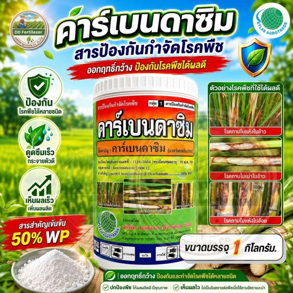 #คาร์เบนดาซิม (ผง) เชื้อรา โรคใบไหม้ โรคใบจุดสีน้ำตาล โรคราแป้ง โรคแอนแทรกโนส #ร้านปุ๋ยดีเด่น