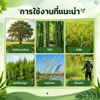 💥100% รากไม้เน่า💥ยาฆ่าต้นไม้ใหญ ยาฆ่าหญ้า 500g รากเน่ารากไม่ขึ้นอีก ยาฆ่าตอไม้ สารกําจัดกอไผ่ แบบผง สานกำจัดกอไผ่ วัชพืช
