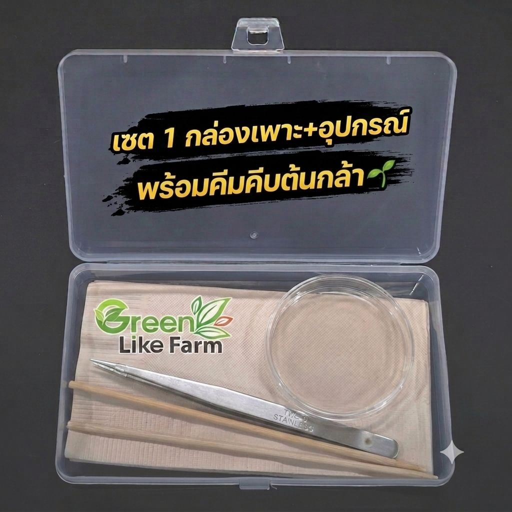 กล่องเพาะเมล็ดผัก ไฮโดรโปนิกส์ พร้อมอุปกรณ์