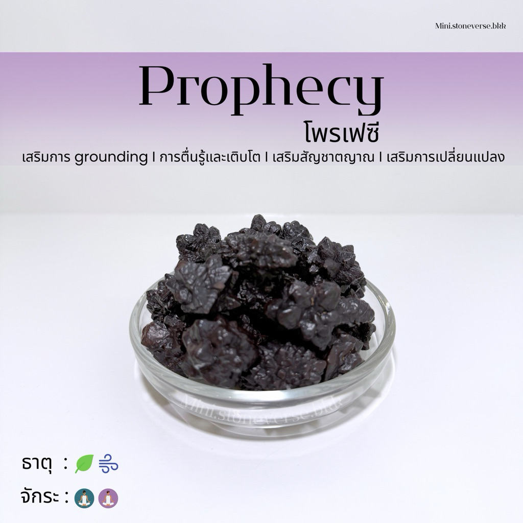 (พร้อมส่ง) หินก้อน Tumbled Prophecy stone (พรอเฟซี สโตน) หินนำโชค หินมงคล (ราคาต่อ 1 ก้อน)
