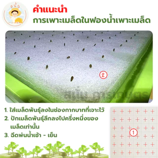 ฟองน้ำปลูกผักไฮโดรโปนิส์ ฟองน้ำเพาะเมล็ด ผักสลัด เนื้อละเอียด แบบมีขอบ 96 ช่อง มีรอยบาก พร้อมใช้
