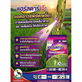 เฮอร์สตาร์ จี 1 กิโล เอสทีม ไดโนทีฟูแรน 1%GR ออกฤทธิ์ดูดซึม ป้องกันจากรากถึงยอด เพลี้ย มด มอด หนอน